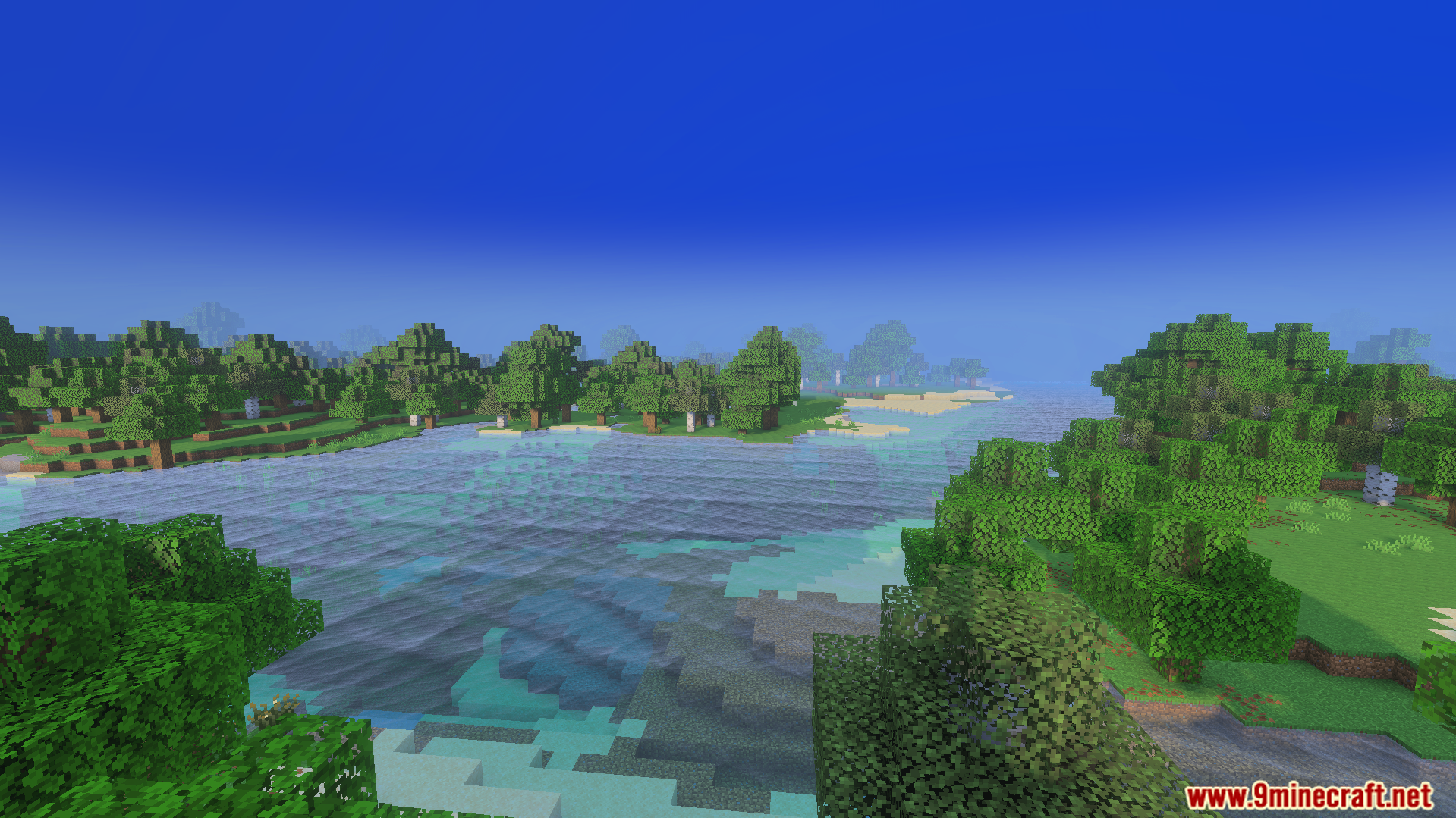 Crystal clear water and thick fog create a realistic look for the forest