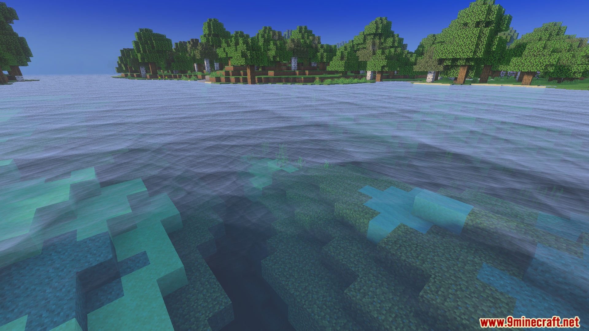 Crystal clear water with smooth waves and visible blocks near a lush forest