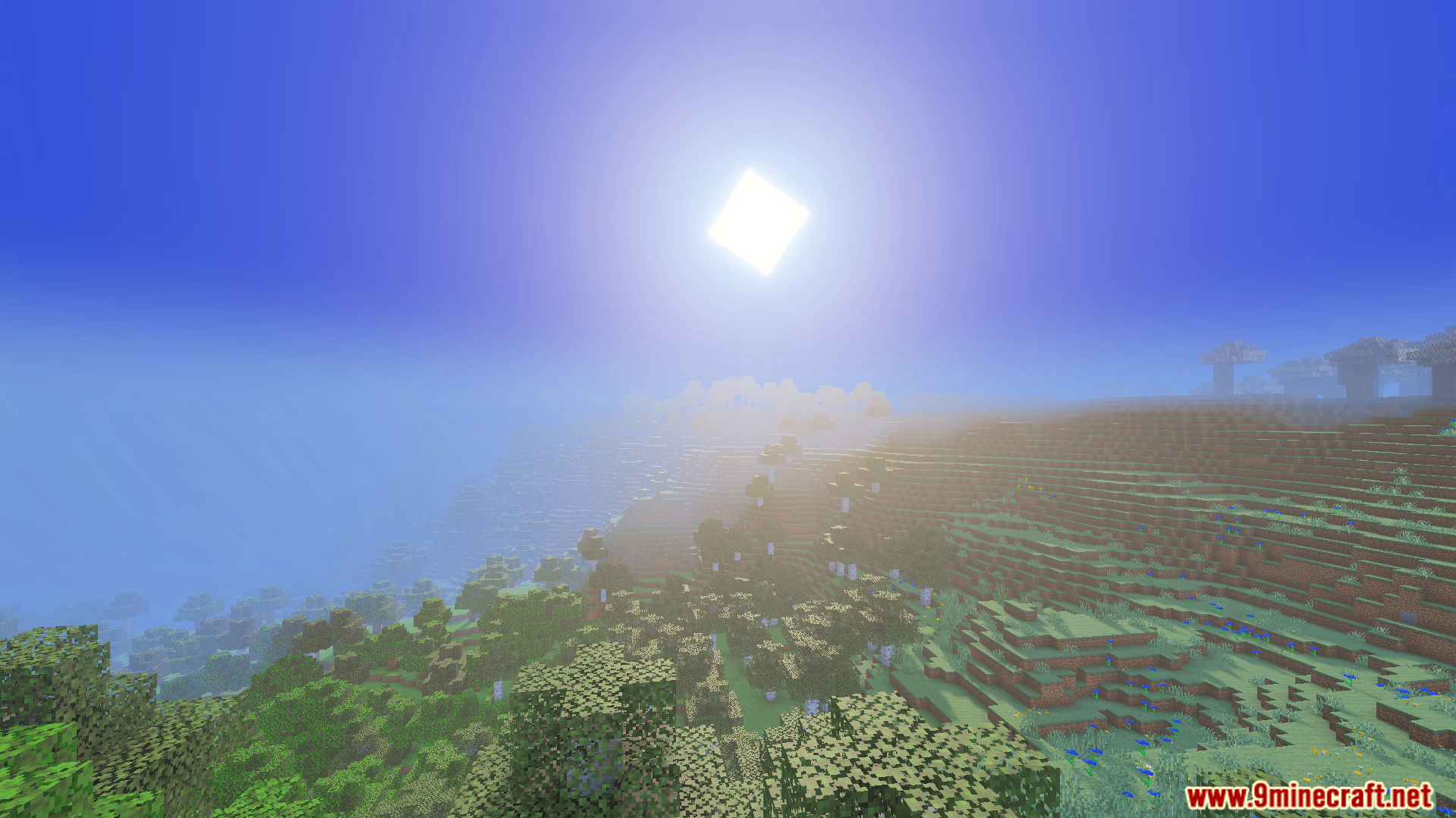 Thick fog and beautiful god rays over the green tree blocks