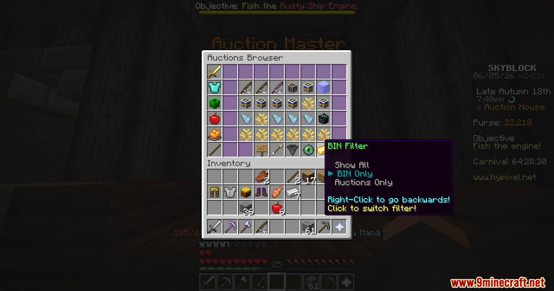 A player browsing the Auction House menu with the BIN filter tooltip visible