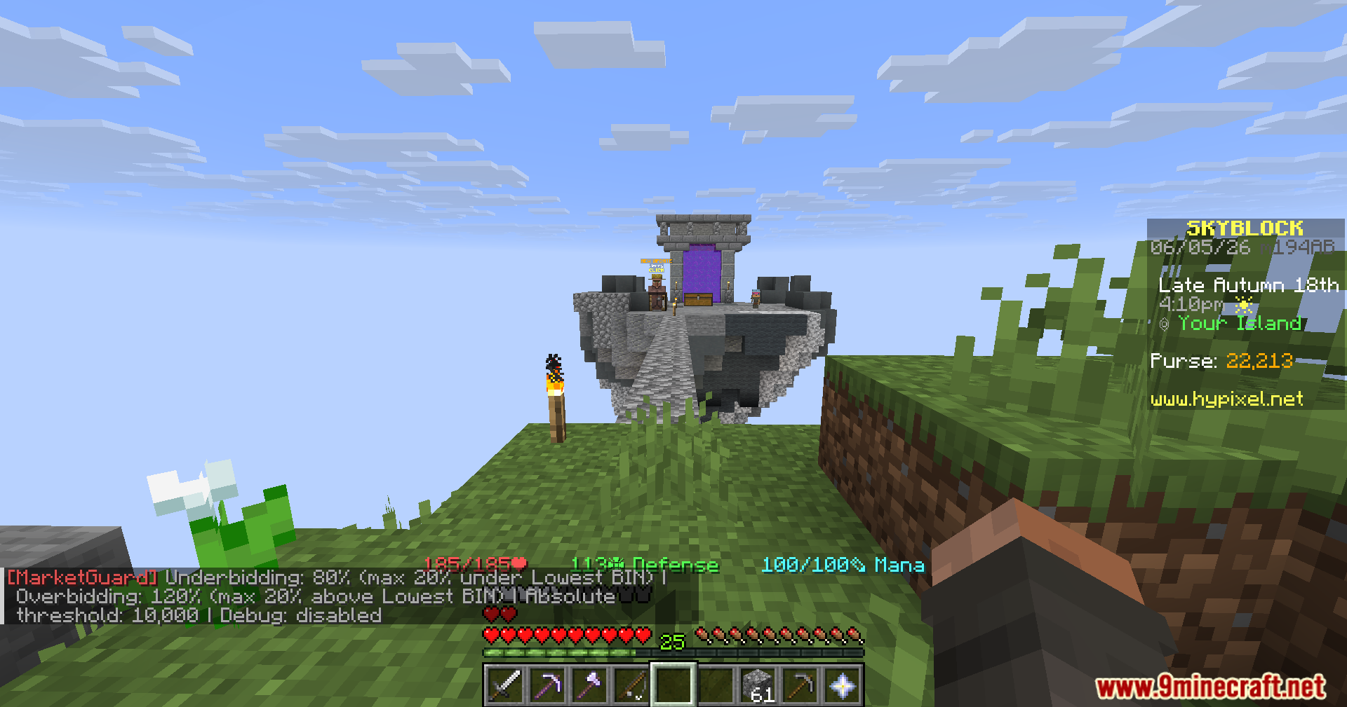 Player standing on a floating island with market protection settings in chat