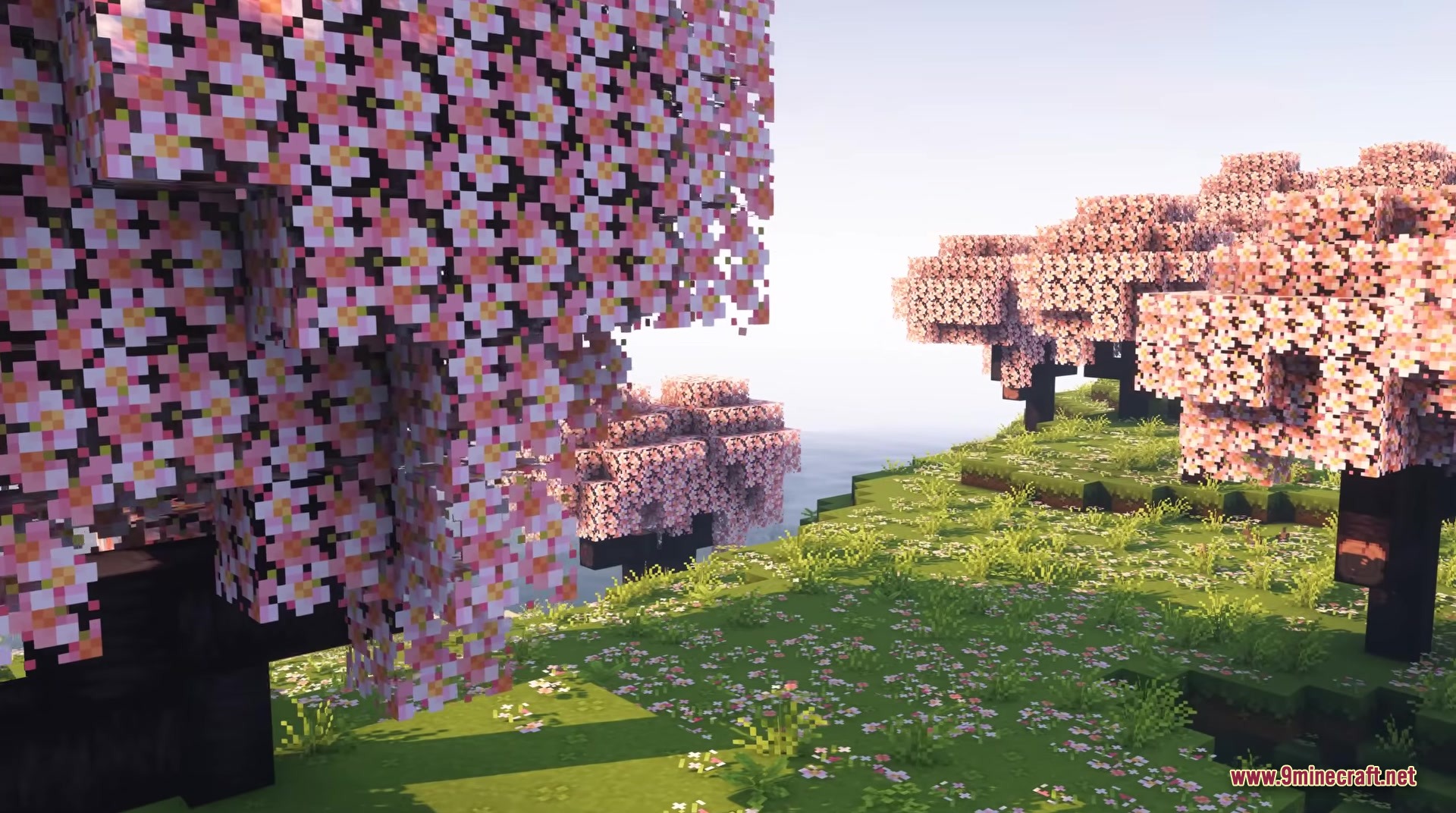 Lush cherry blossom trees with pink leaves standing in a vibrant grassy field
