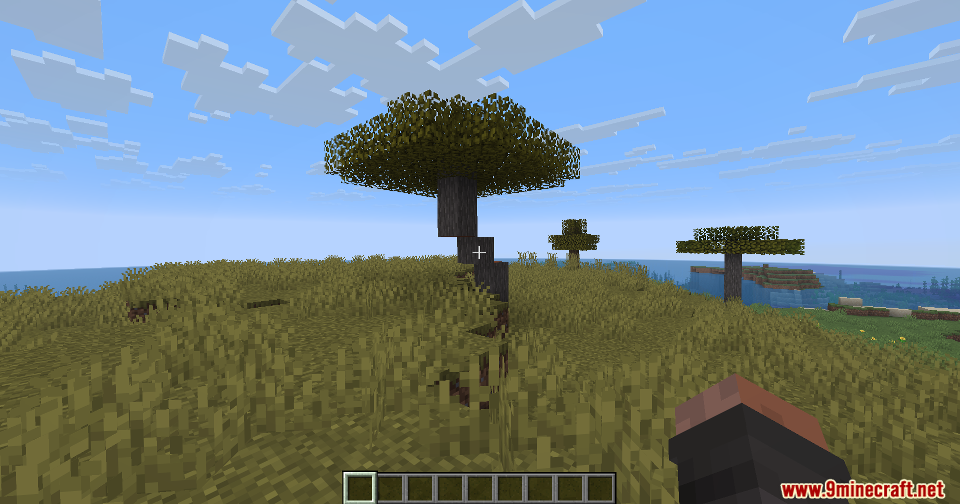 Modern UI Mvus Mod Screenshot 10 A first person view of a savanna biome with several acacia trees
