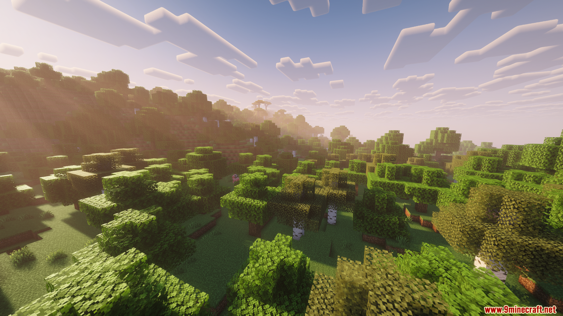 Monocle Mod Screenshot 5 Lush green forest landscape in Minecraft with realistic lighting and soft clouds