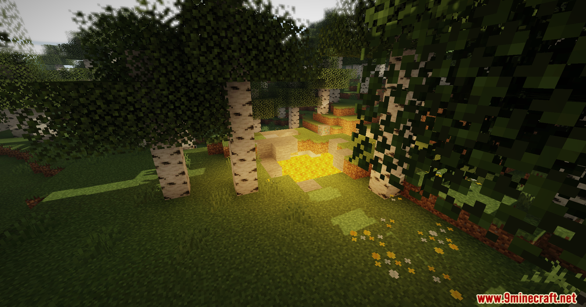 Soft lighting illuminates a birch forest path with glowing yellow flowers