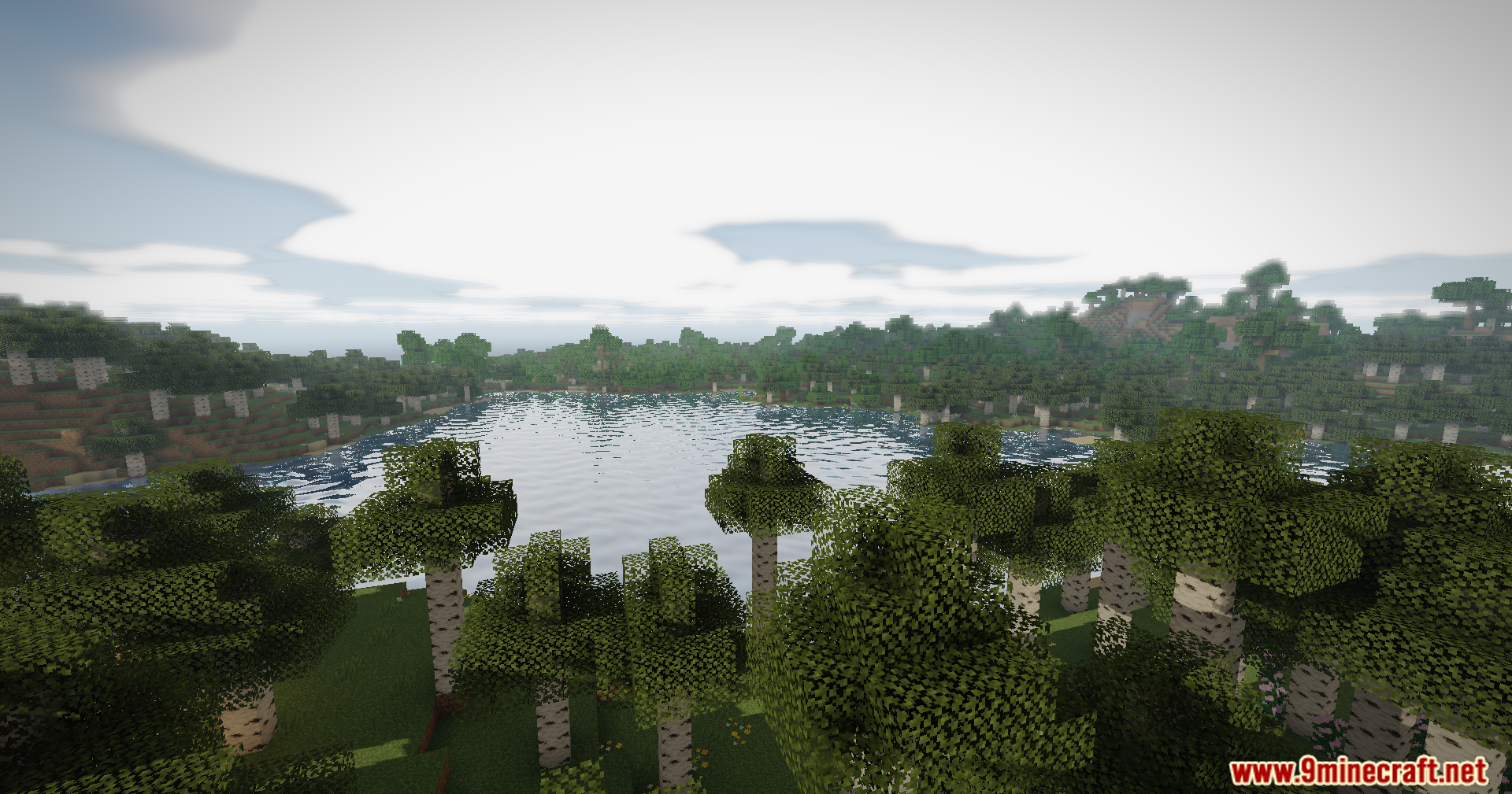 A wide lake with realistic water reflections surrounded by a birch forest