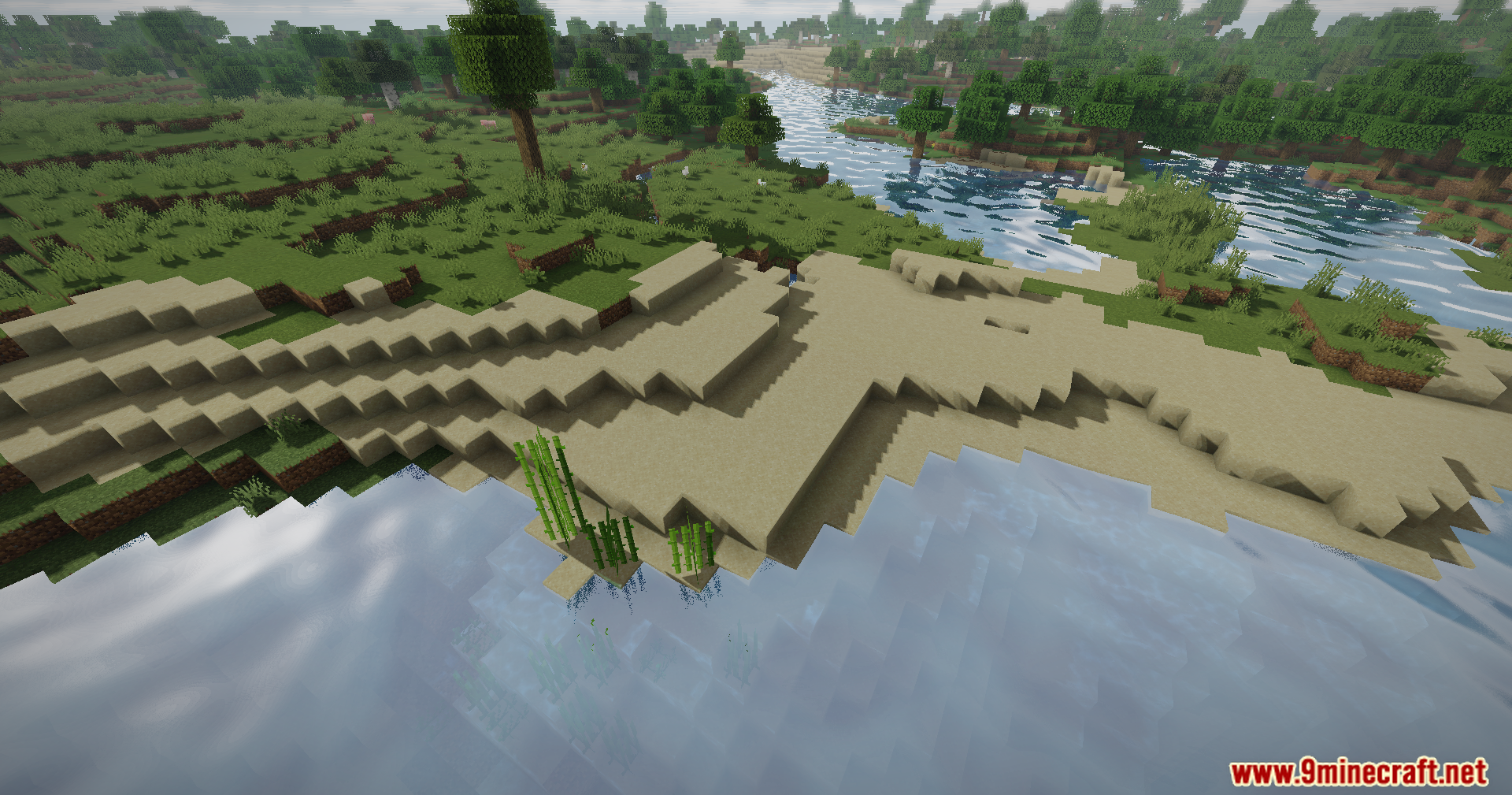 A detailed view of a sandy riverbank with clear water and sugar cane