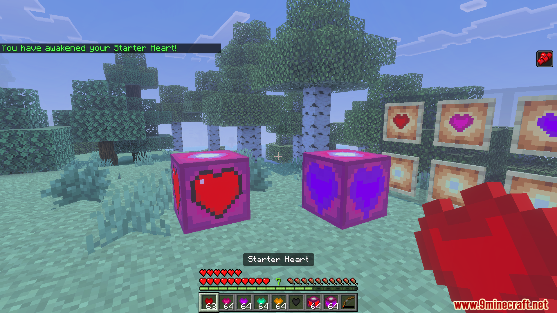 More Health Addon Screenshot 4 Player holding a starter heart with extra health bars and colored heart items