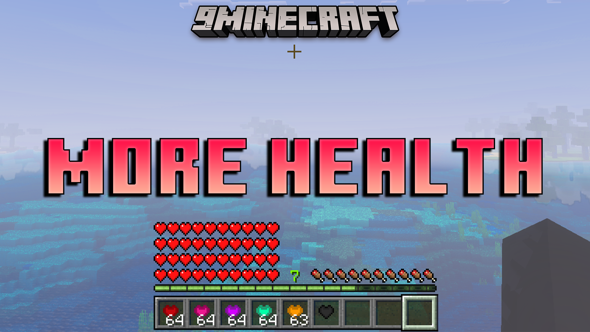 More Health Addon