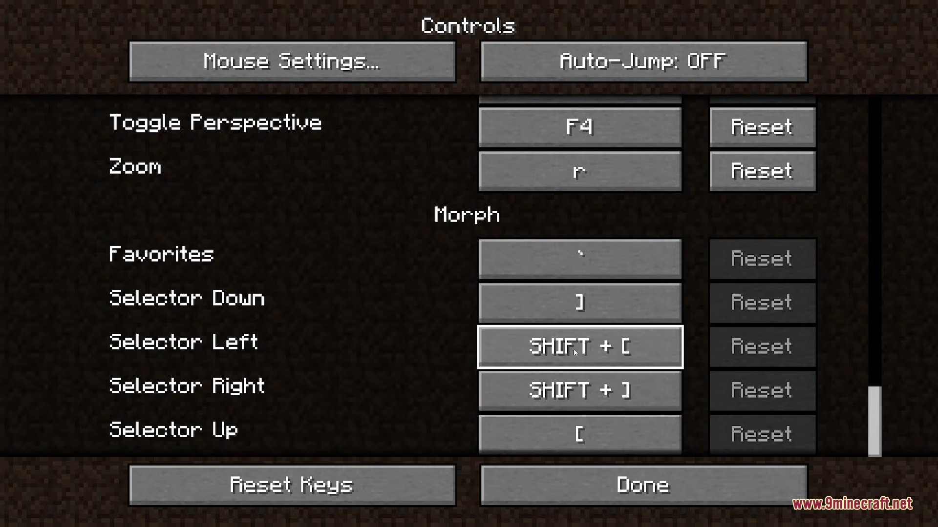 Minecraft controls menu showing keybind settings for the Morph mod