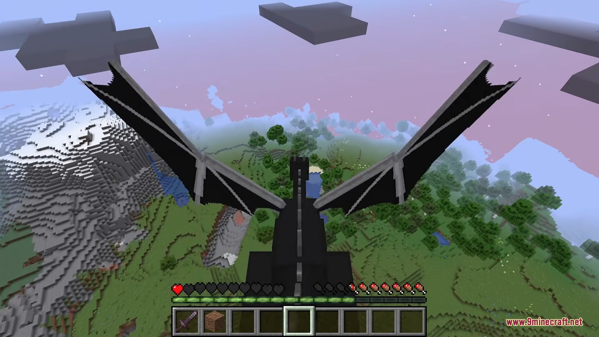 Player transformed into an Ender Dragon flying high above the grassy world