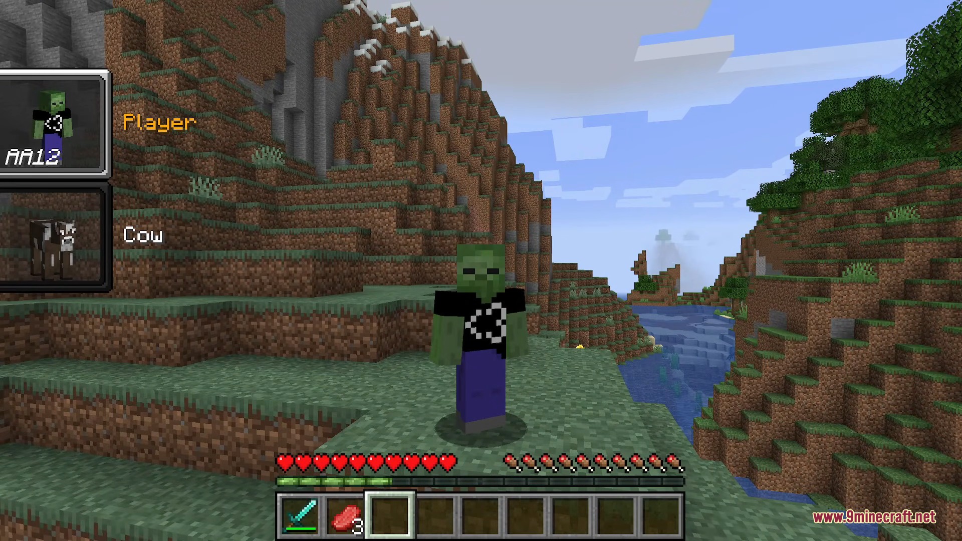A player transformed into a zombie standing on a grassy cliff