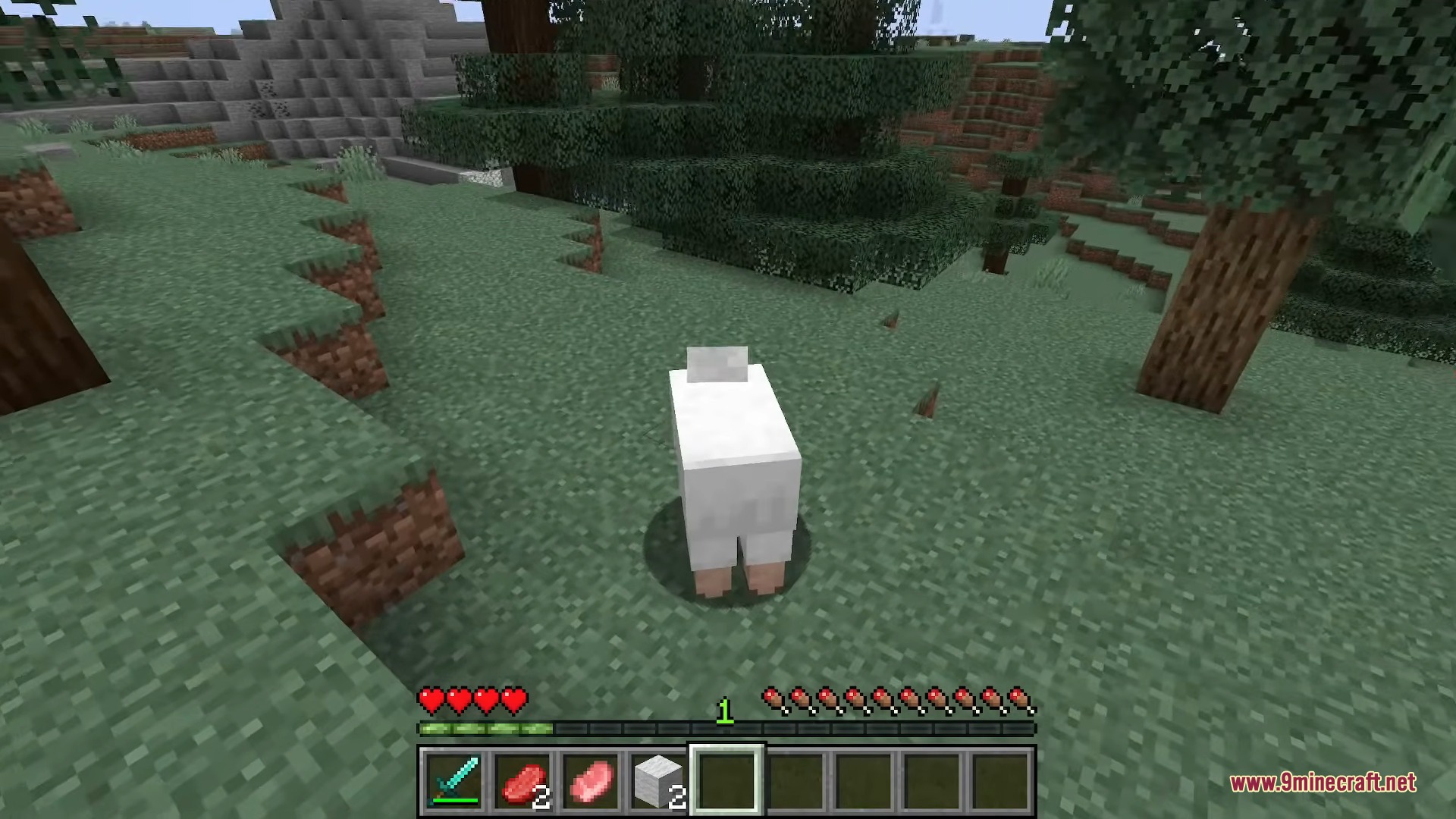 A white sheep stands on a grassy hill in a spruce forest biome