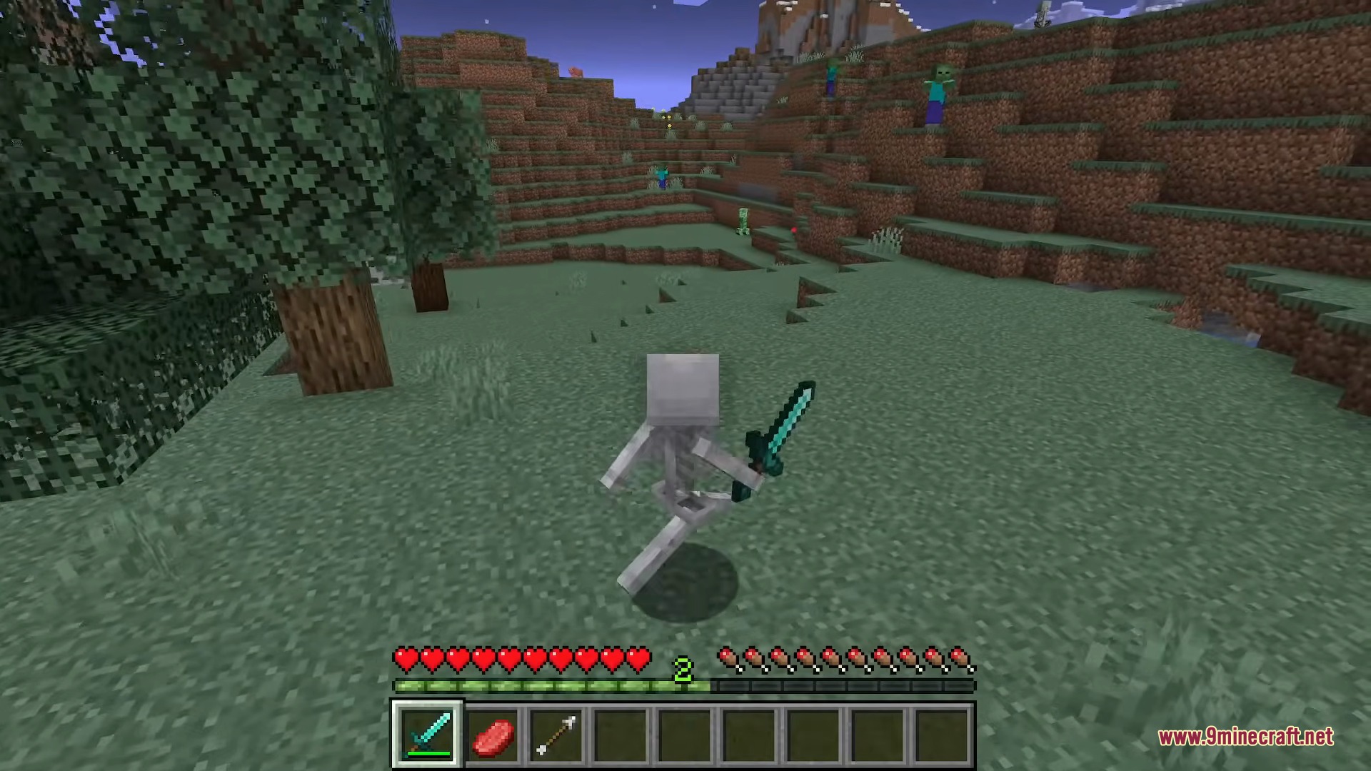 A skeleton player holding a diamond sword explores a grassy field at night