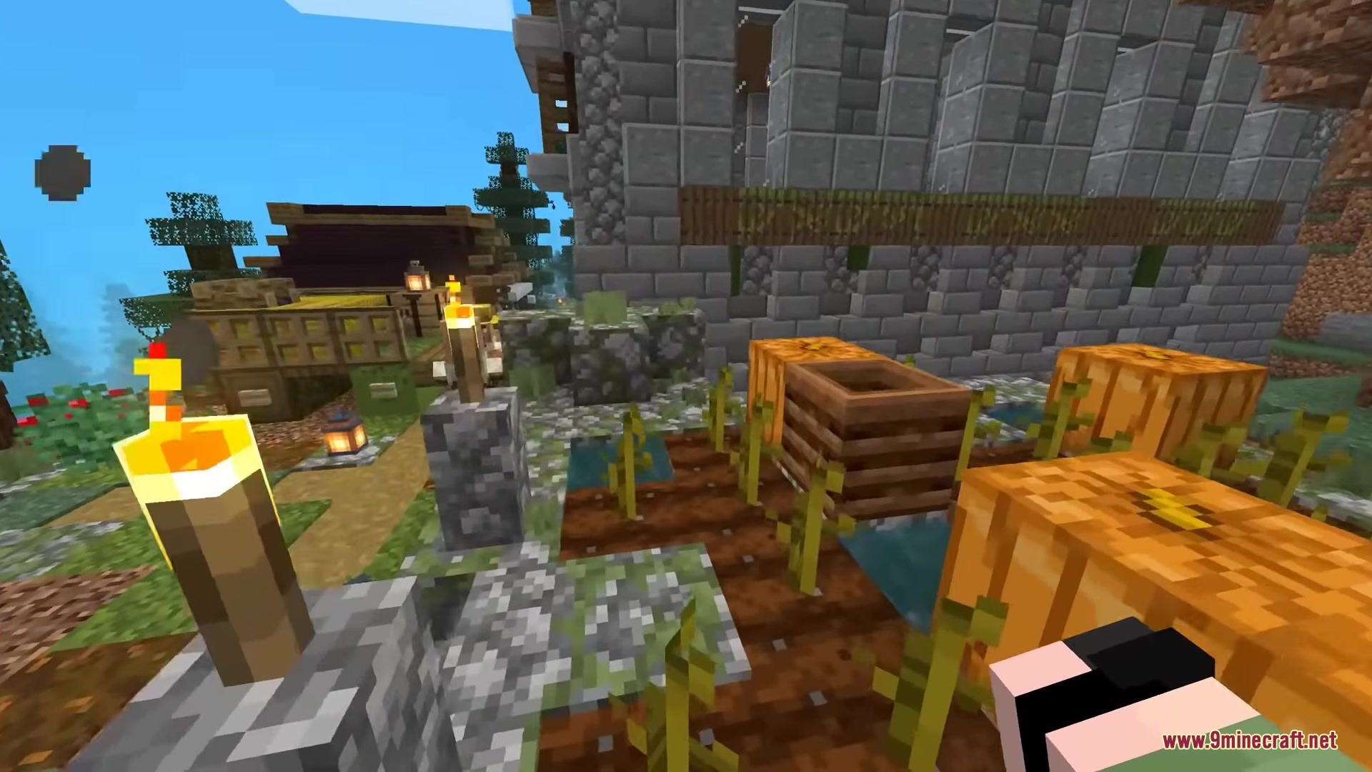 Musgo Resource Pack Screenshot 16 A pumpkin farm with a composter and stone buildings in a village