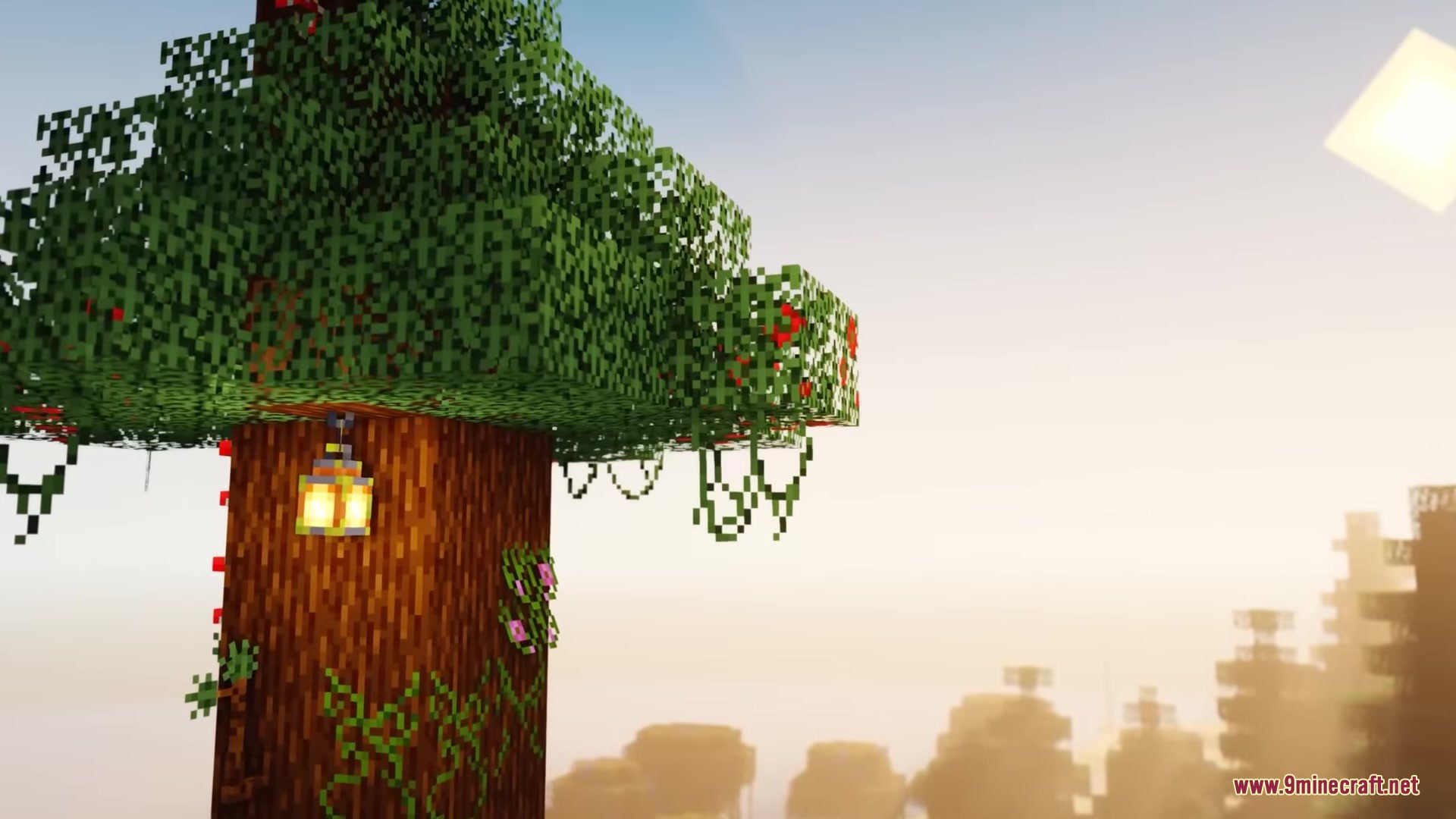 Musgo Resource Pack Screenshot 6 A glowing lantern hangs from a tree with custom leaf shapes during sunset