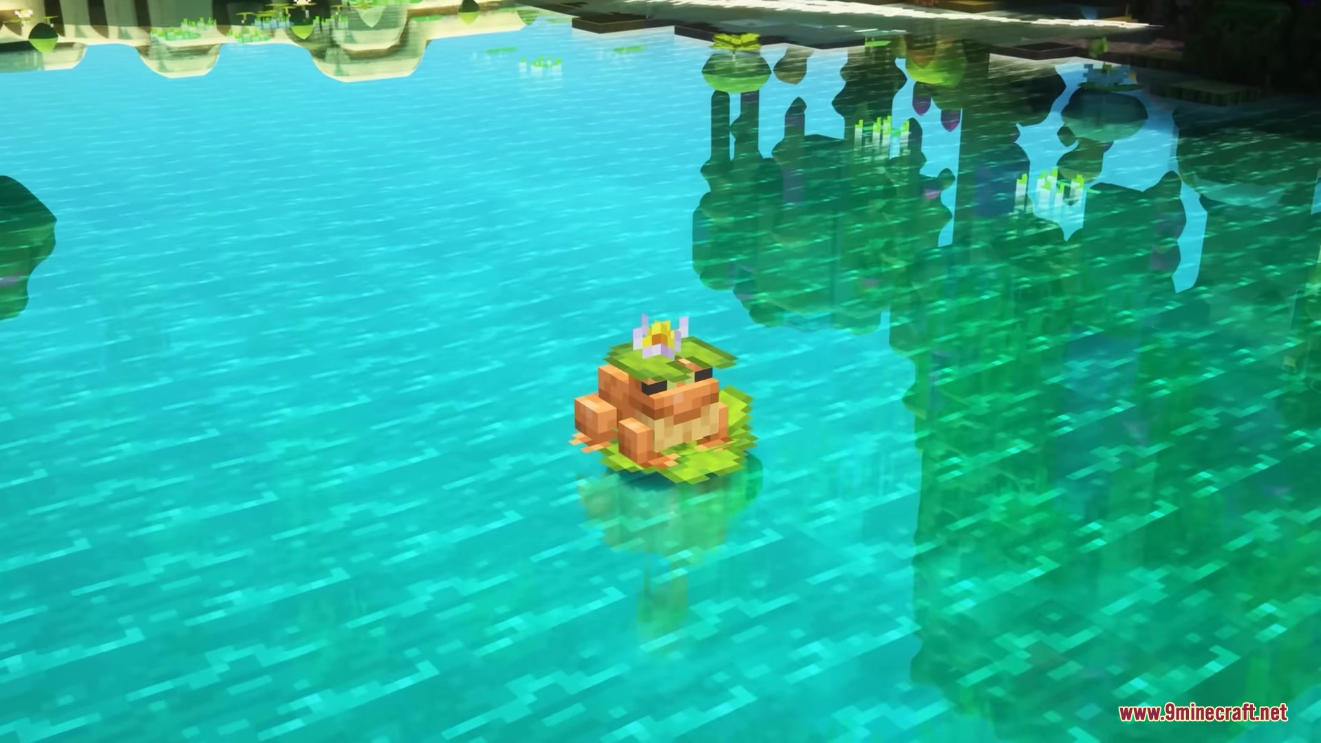 Musgo Resource Pack Screenshot 9 A small frog sitting on a lilypad in clear blue water with reflections