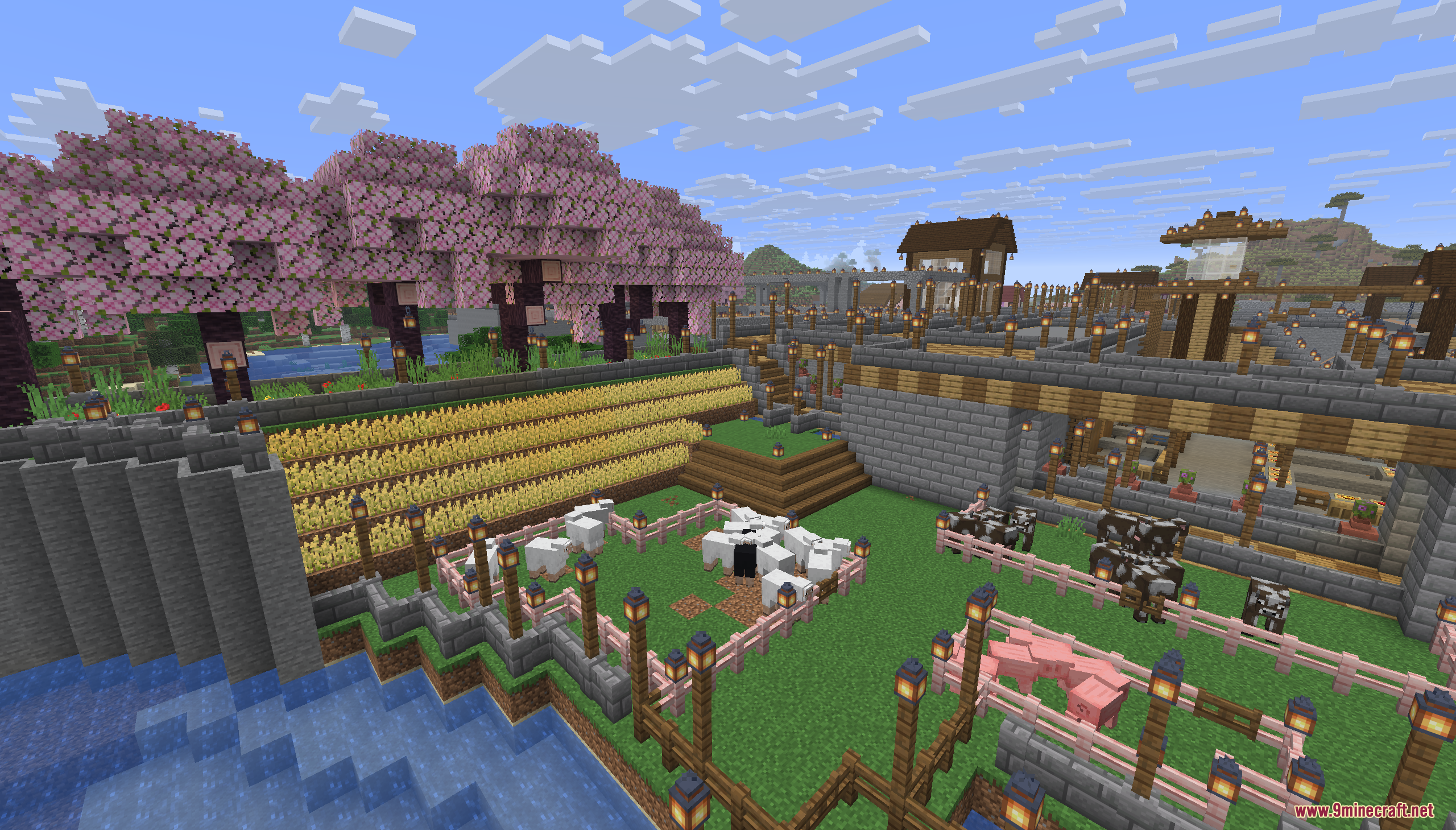 Livestock pens and wheat farms situated beneath beautiful pink cherry blossom trees