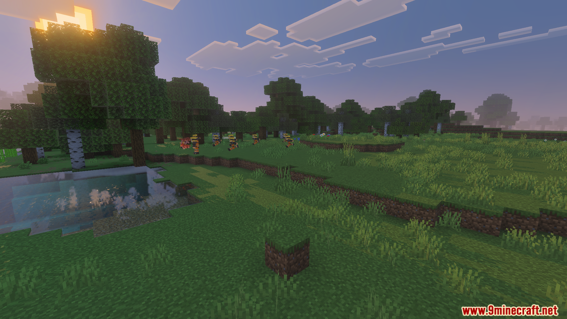 Multiple character models using the Shadow Clone Jutsu in a grassy field