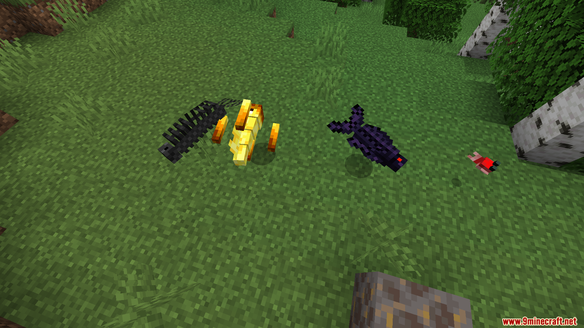 Nether Depths Upgrade PT BR Translation Resource Pack Screenshot 6 Different types of unique fish mobs lying on the grass in Minecraft