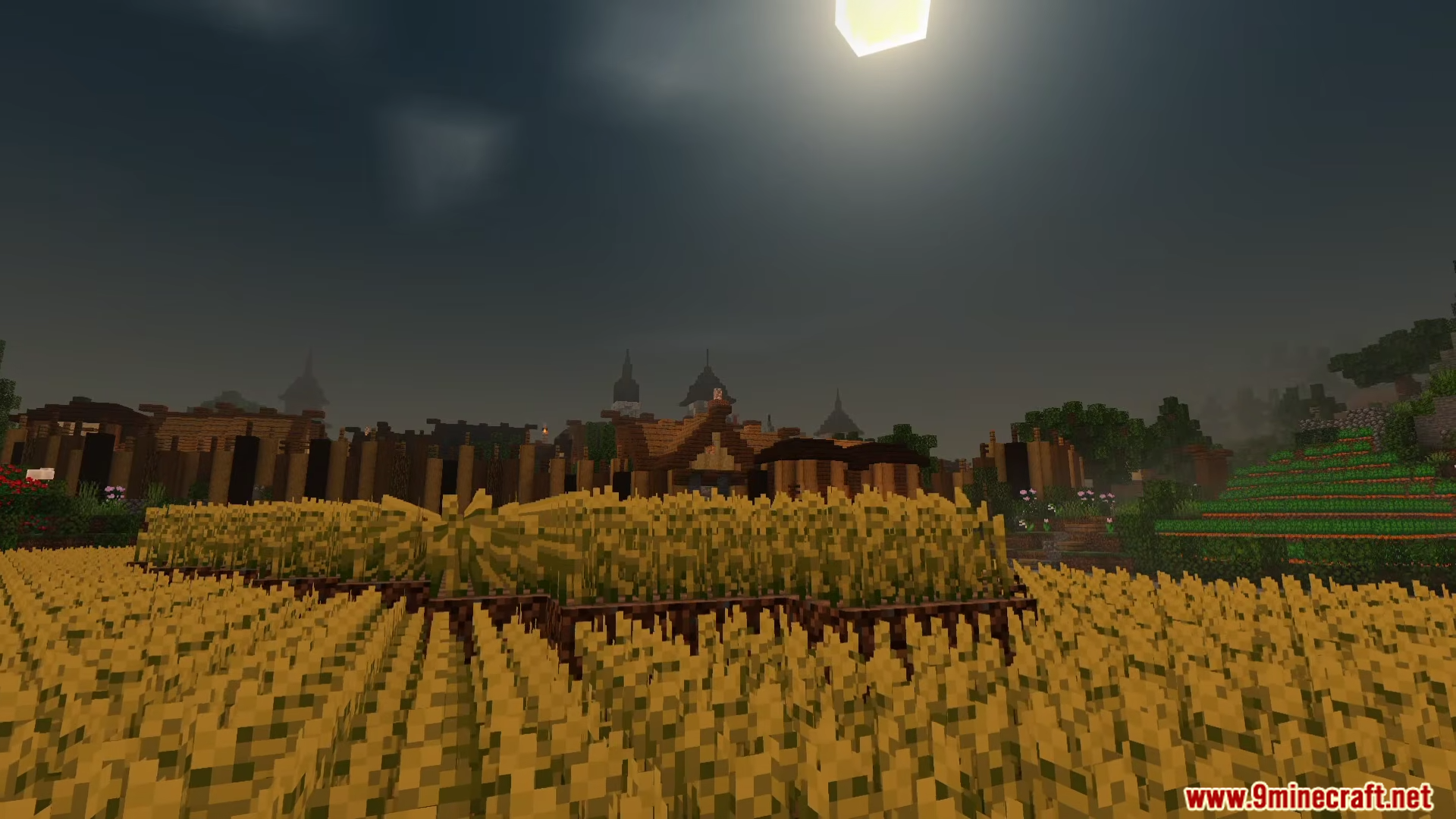 A vast wheat field under a dark sky using Newb Nightfall Shader