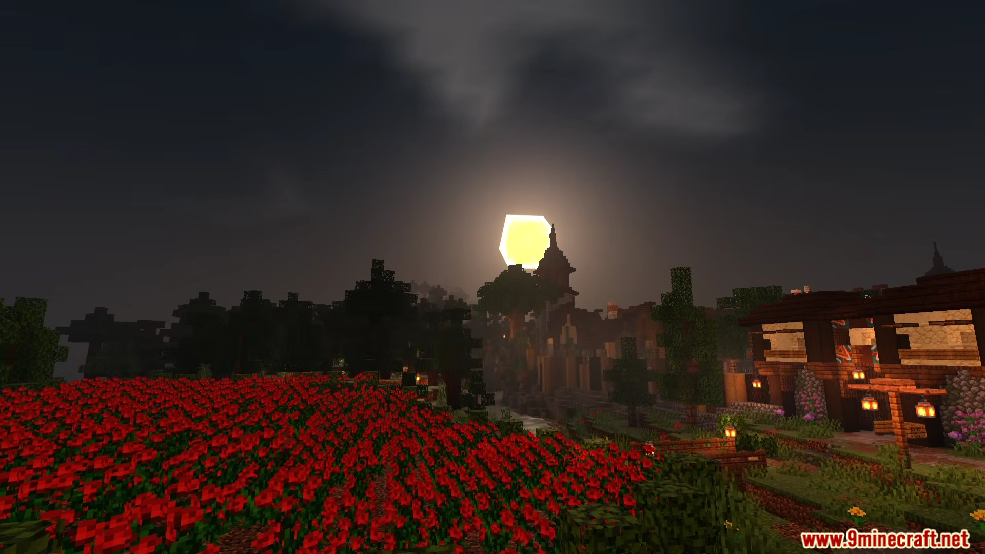 Red flower field and a Minecraft village with lanterns under the moon
