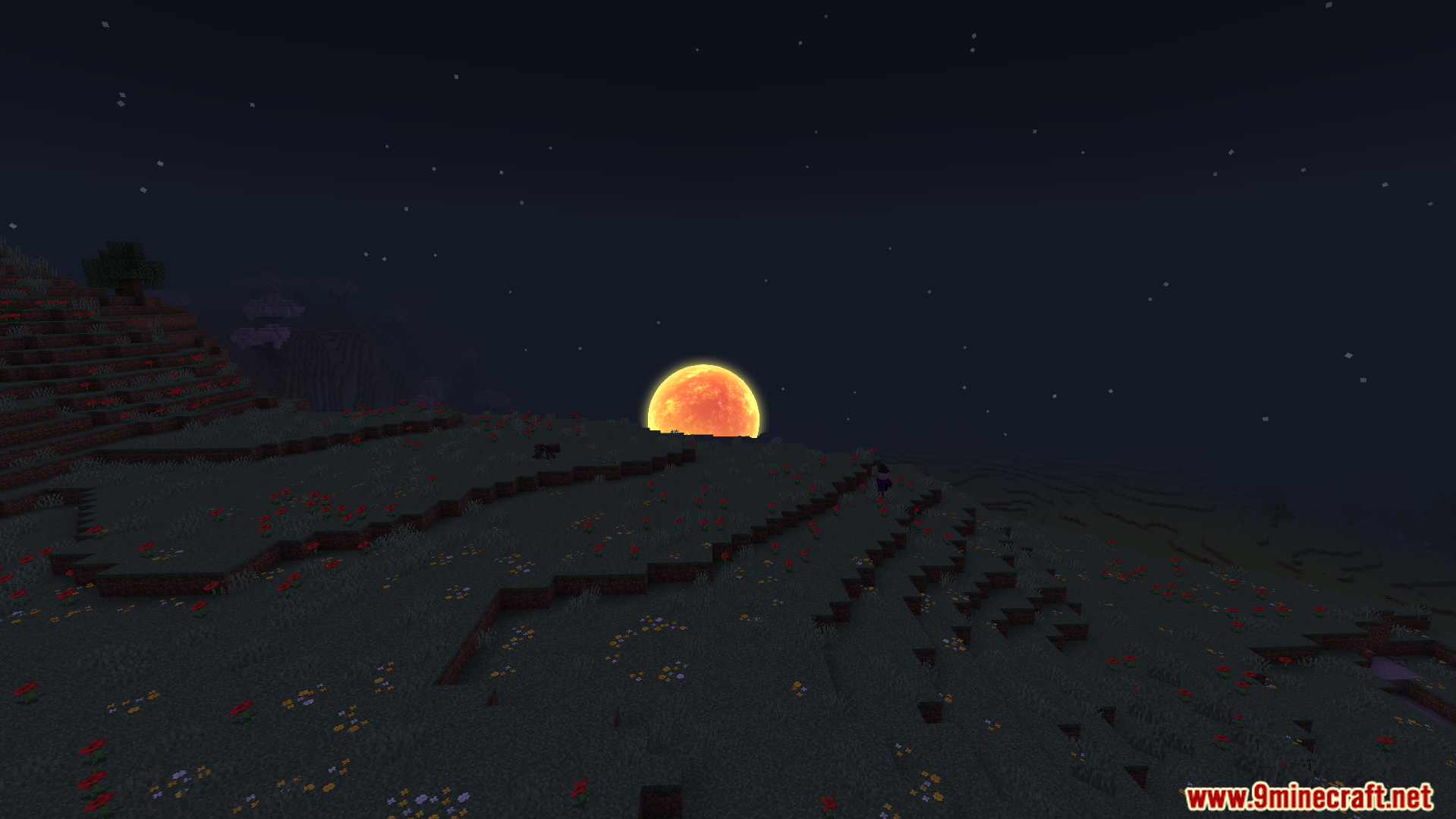Newb X Manyzz Lite Shader displays a large orange sun over flowery fields