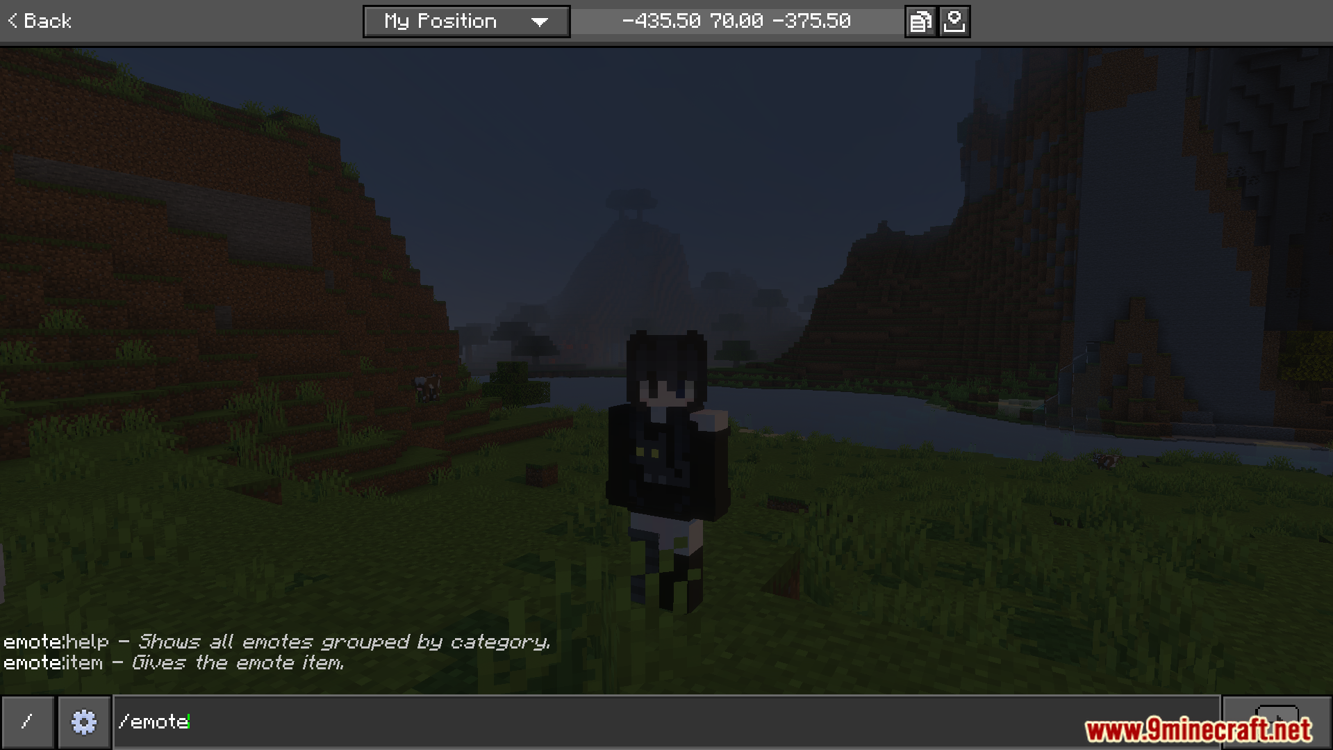 Not Enough Emotes Addon Screenshot 2 Typing a chat command to access the help menu for player animations