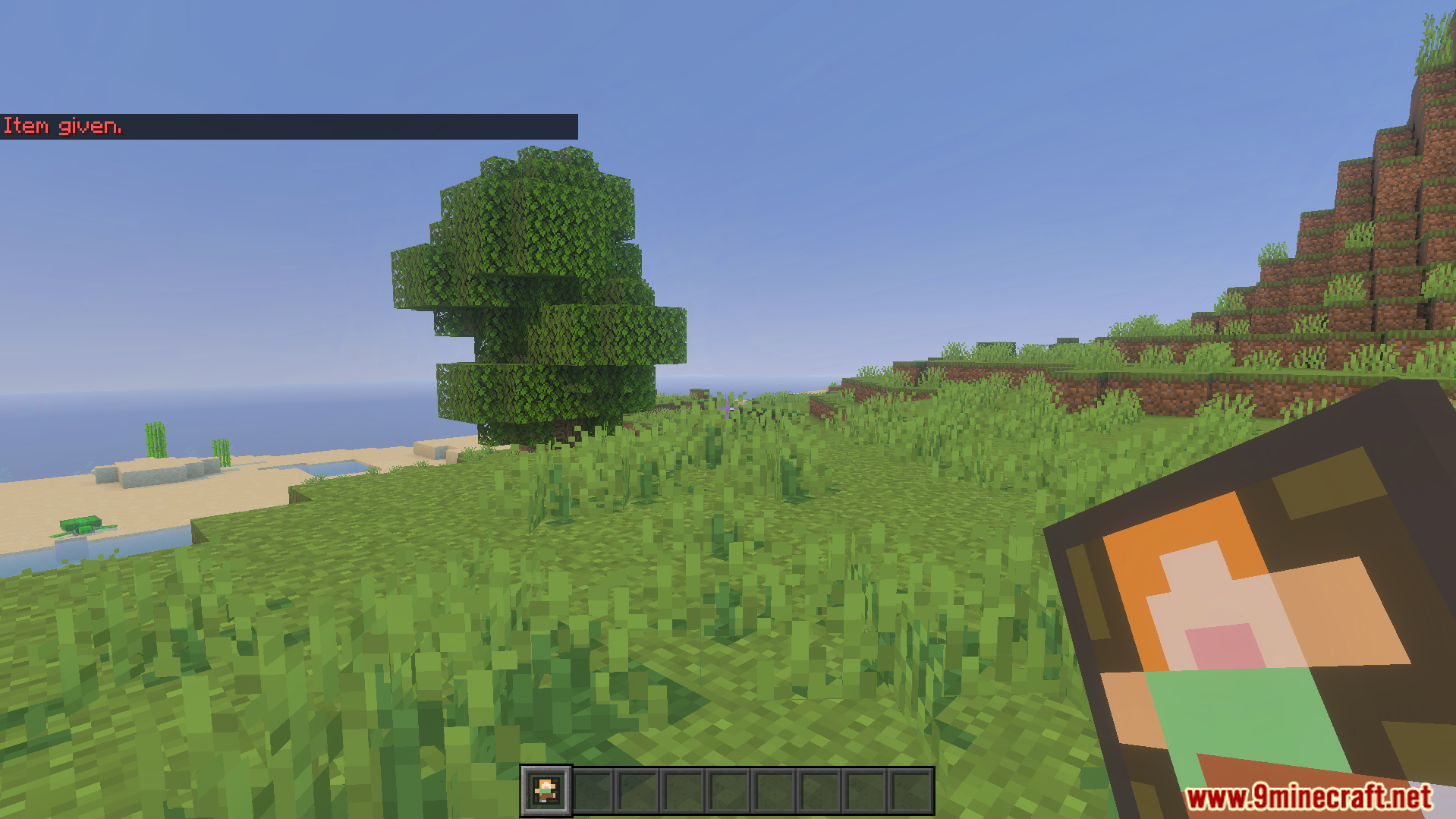 Not Enough Emotes Addon Screenshot 3 Player holding the special item from the Not Enough Emotes Addon