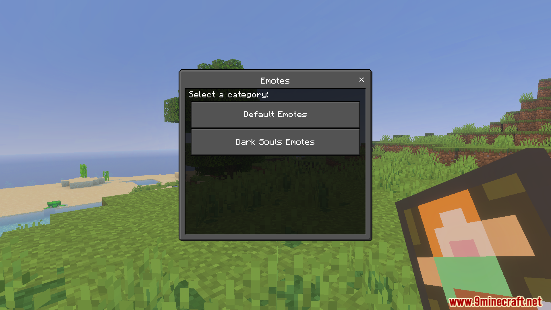 Not Enough Emotes Addon Screenshot 4 Emote menu showing options for default and Dark Souls animation categories