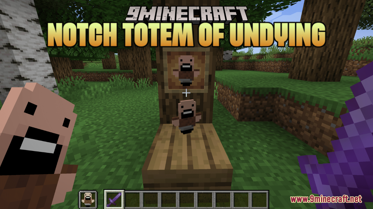 Notch Totem of Undying Resource Pack