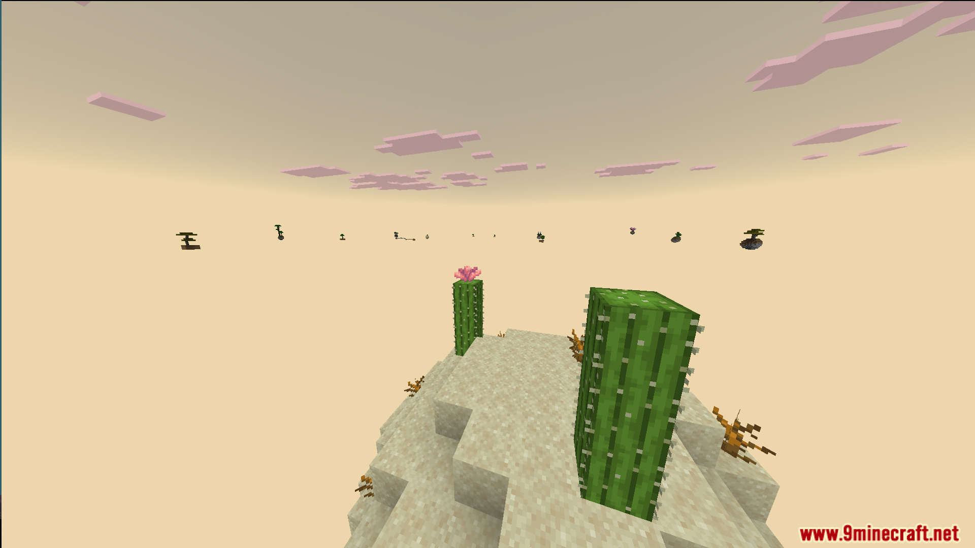 Floating desert island with cacti and distant biomes in the empty sky
