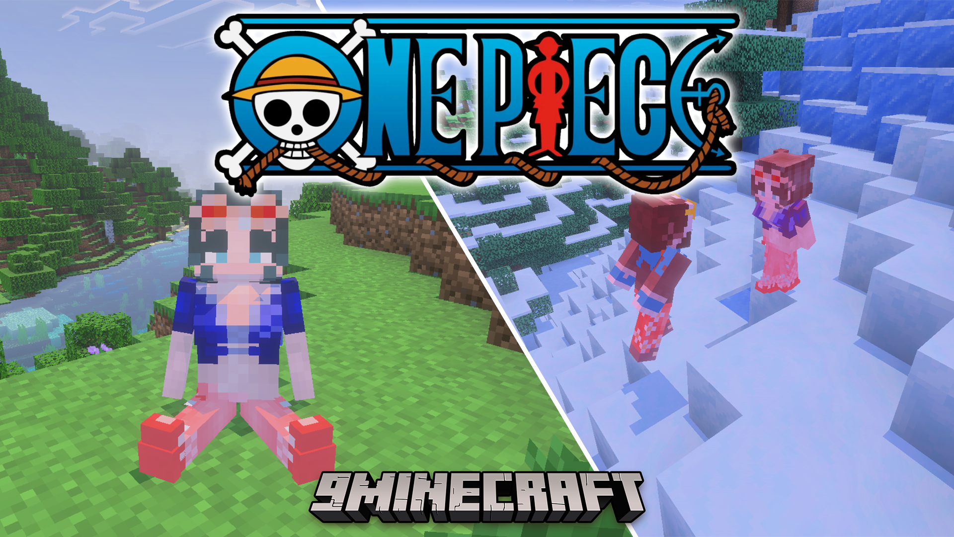 One Piece Addon