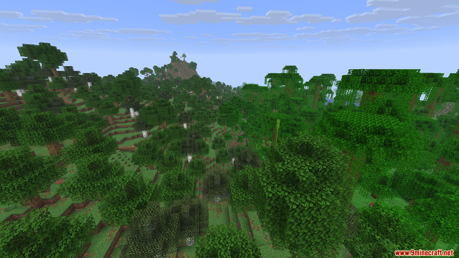 Optimized Fullbright Mod Screenshot 10 A dense Minecraft forest biome with many trees and green foliage