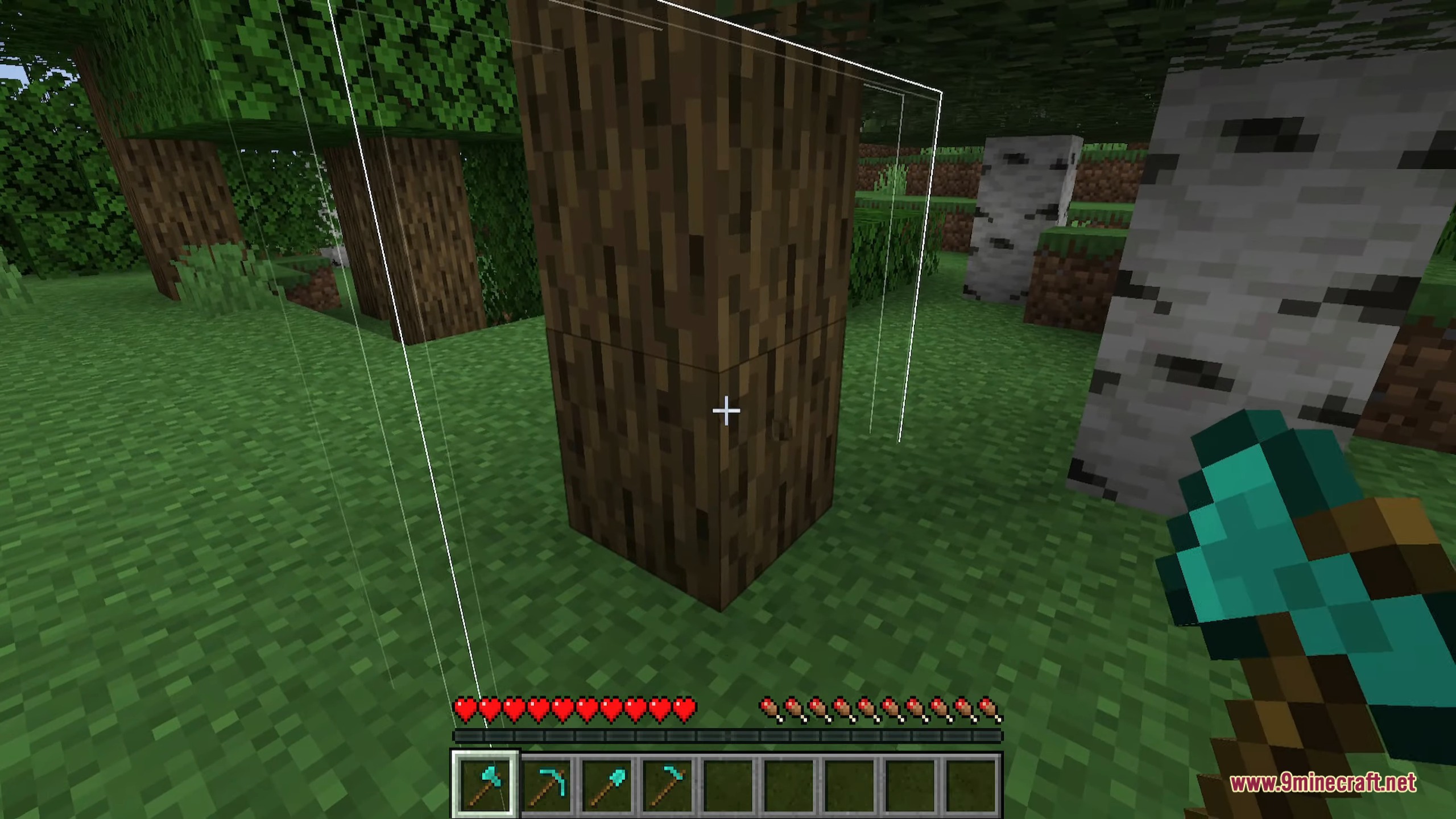 Player holding a diamond axe looking at a tree with white wireframe outlines