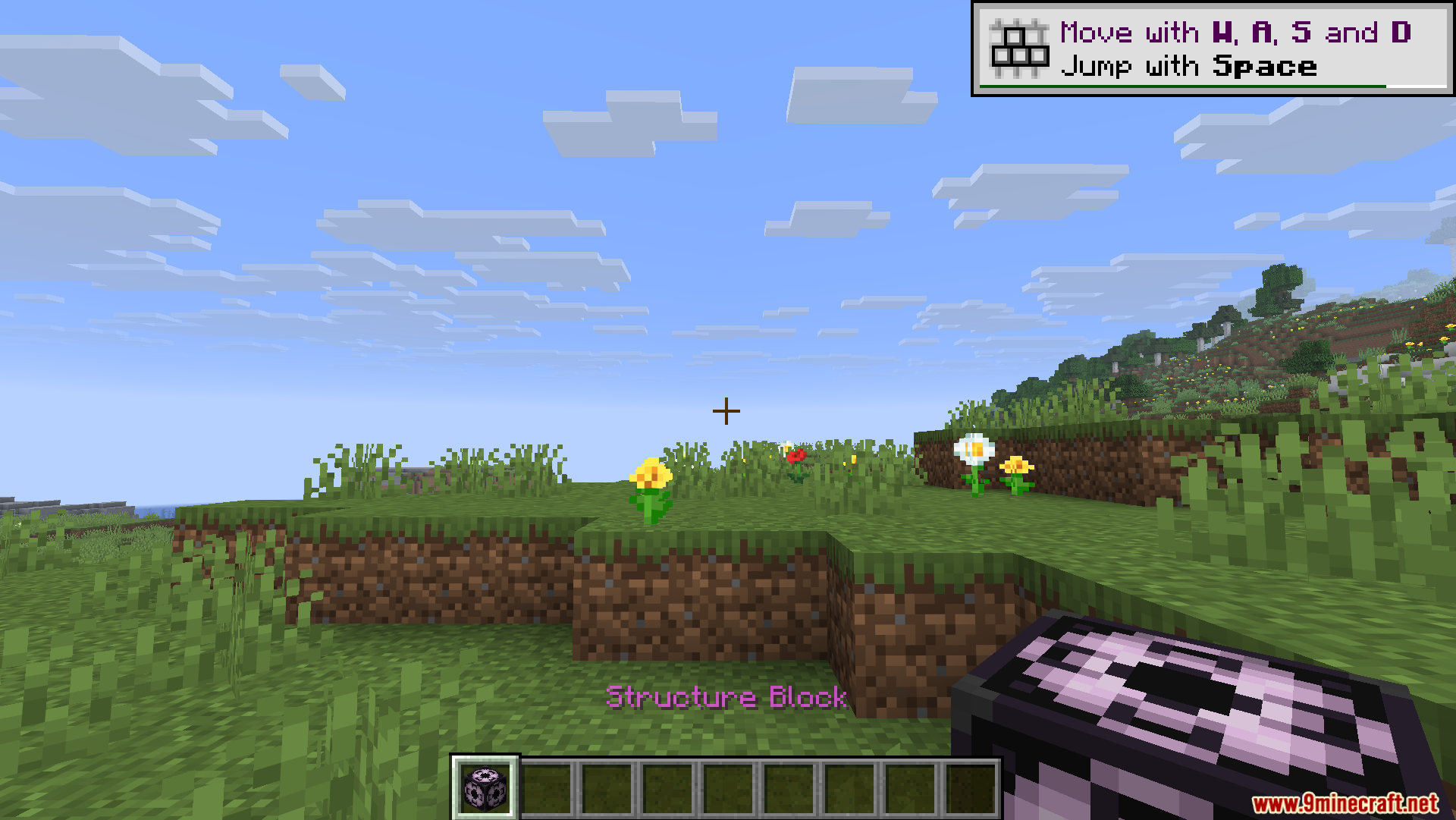 A player holding a structure block while standing in a grassy field