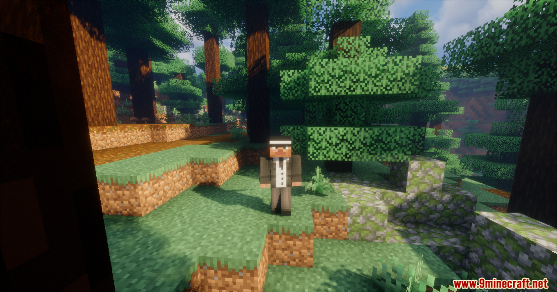 Pick Up Me Mod Screenshot 4 Character carrying a friend on their head using the Pick Up Me Mod