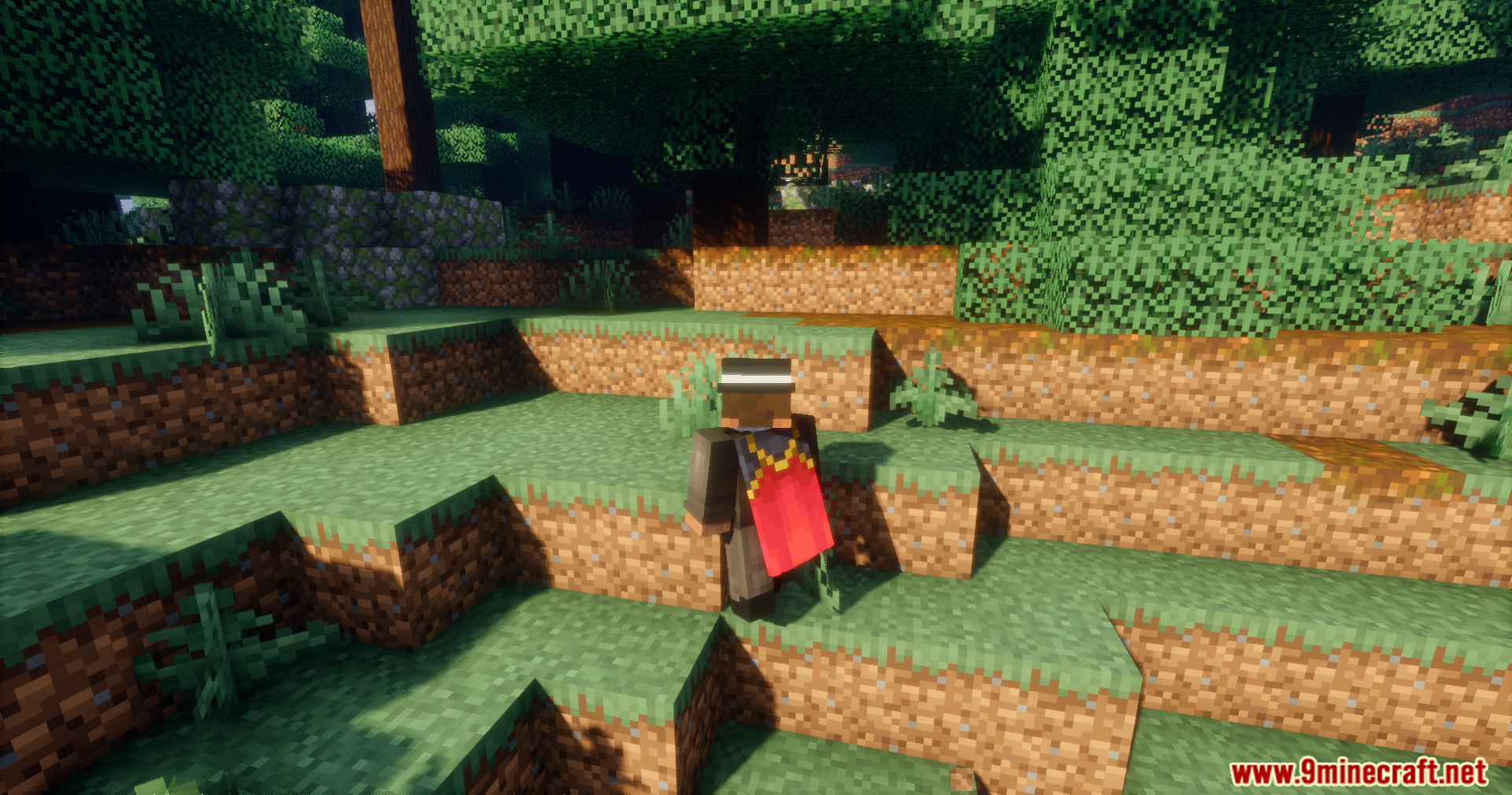 Pick Up Me Mod Screenshot 6 Rear view of a caped player carrying another character on their head