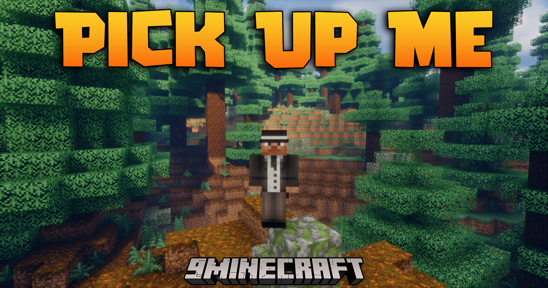 Pick Up Me Mod