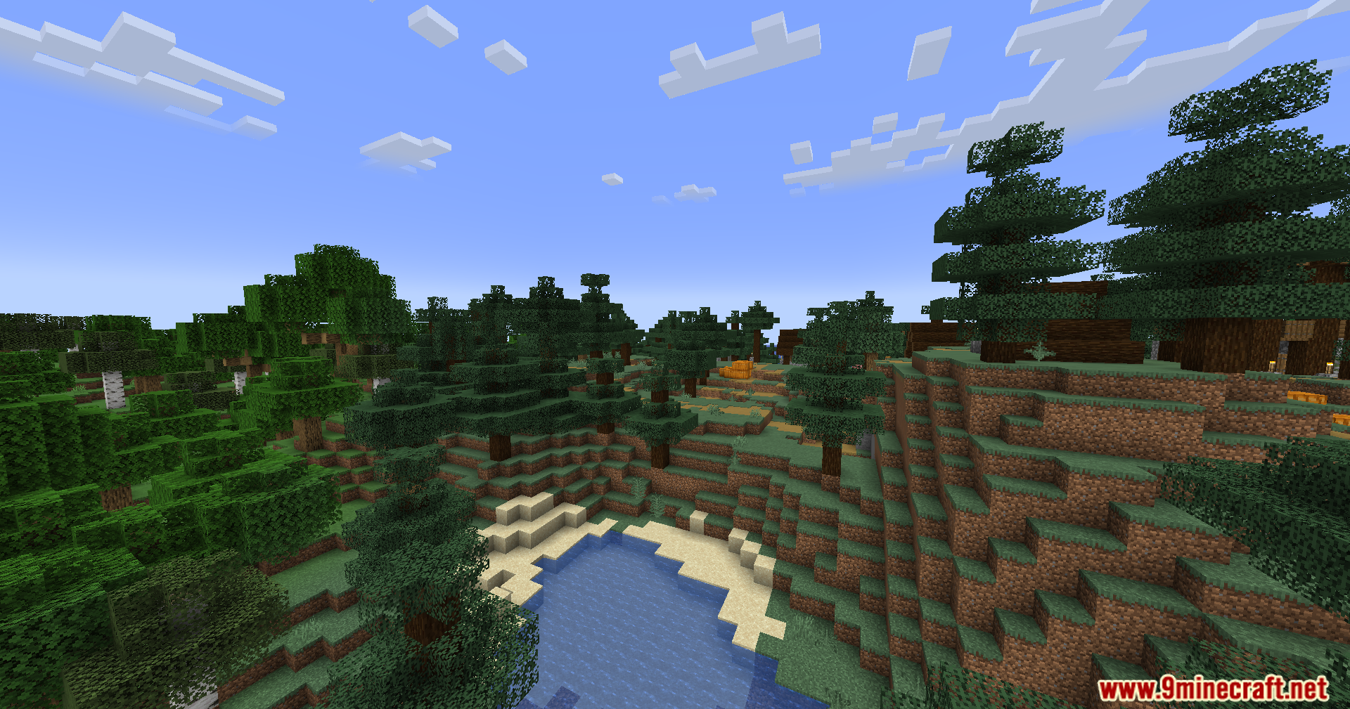 Spruce trees on a grassy hill beside a small pond with realistic shadows