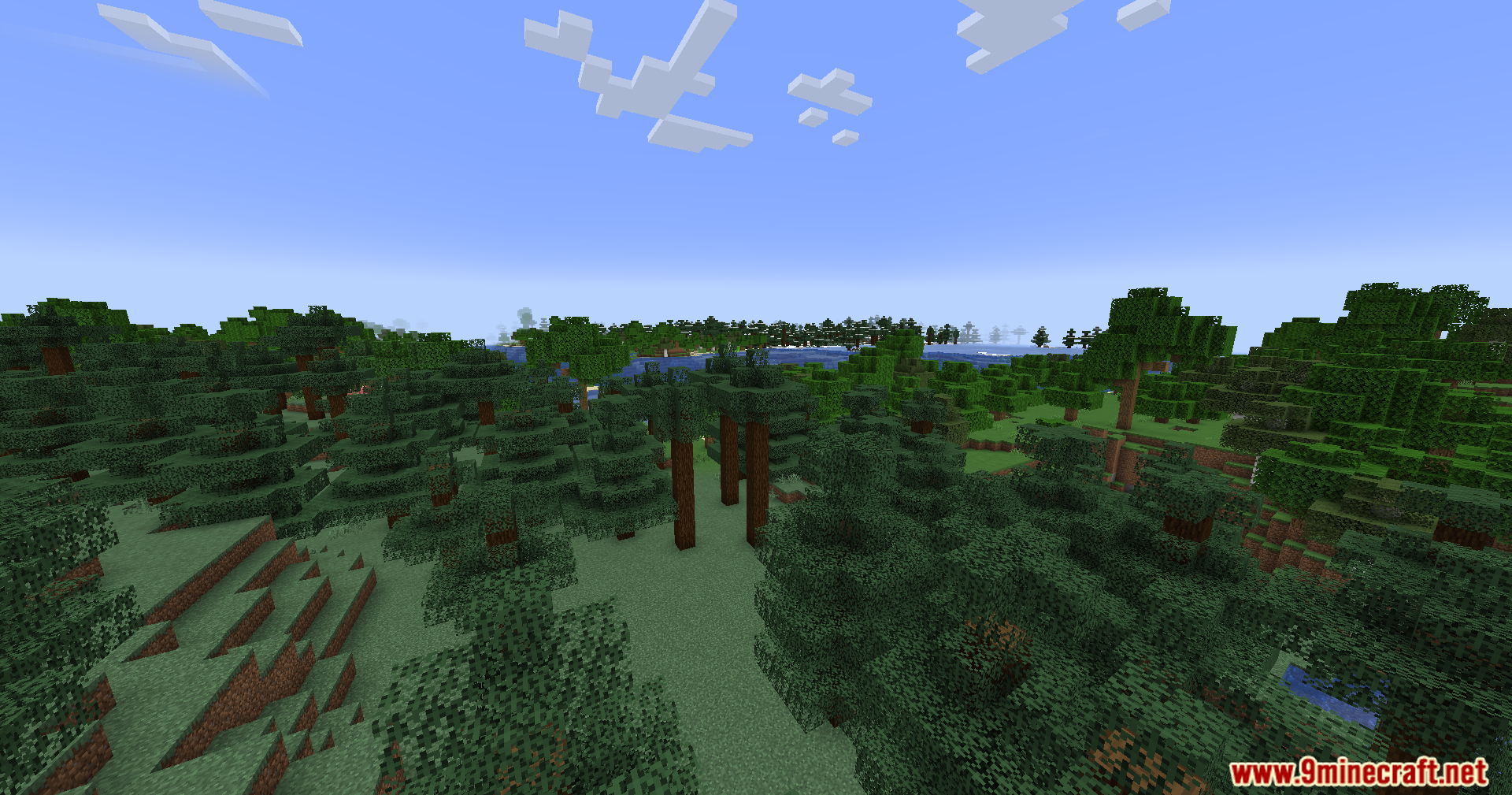 Forest landscape view with realistic water and clear sky