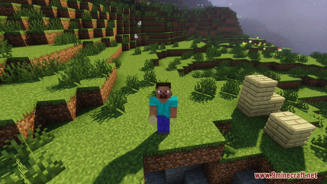 Steve standing on a grassy hill next to several 3D birch wood planks