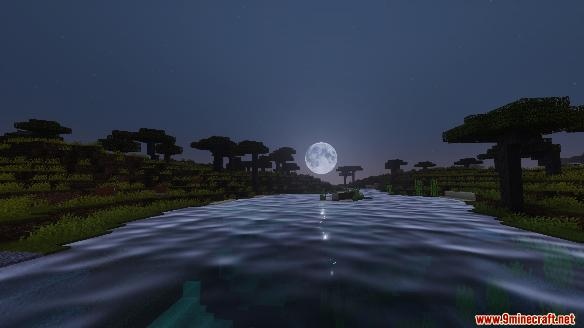 RG Visuals Shader adds beautiful water reflections and realistic lighting at night
