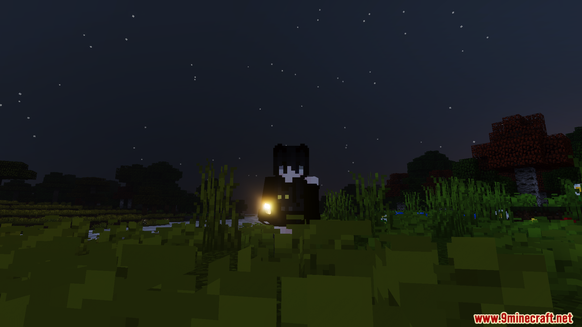 Minecraft player holding a torch at night with realistic lighting and moving grass