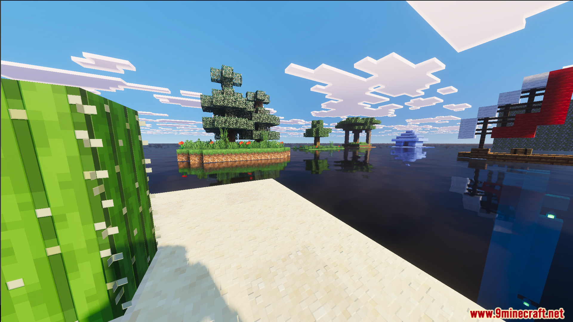 A cactus on sand overlooking floating islands with trees and a small boat