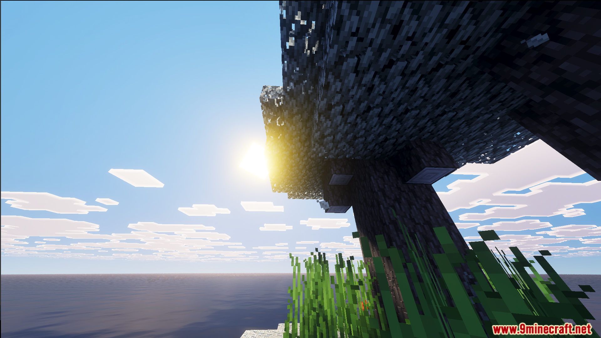 Sunlight peeks through the leaves of a tree on a small survival island