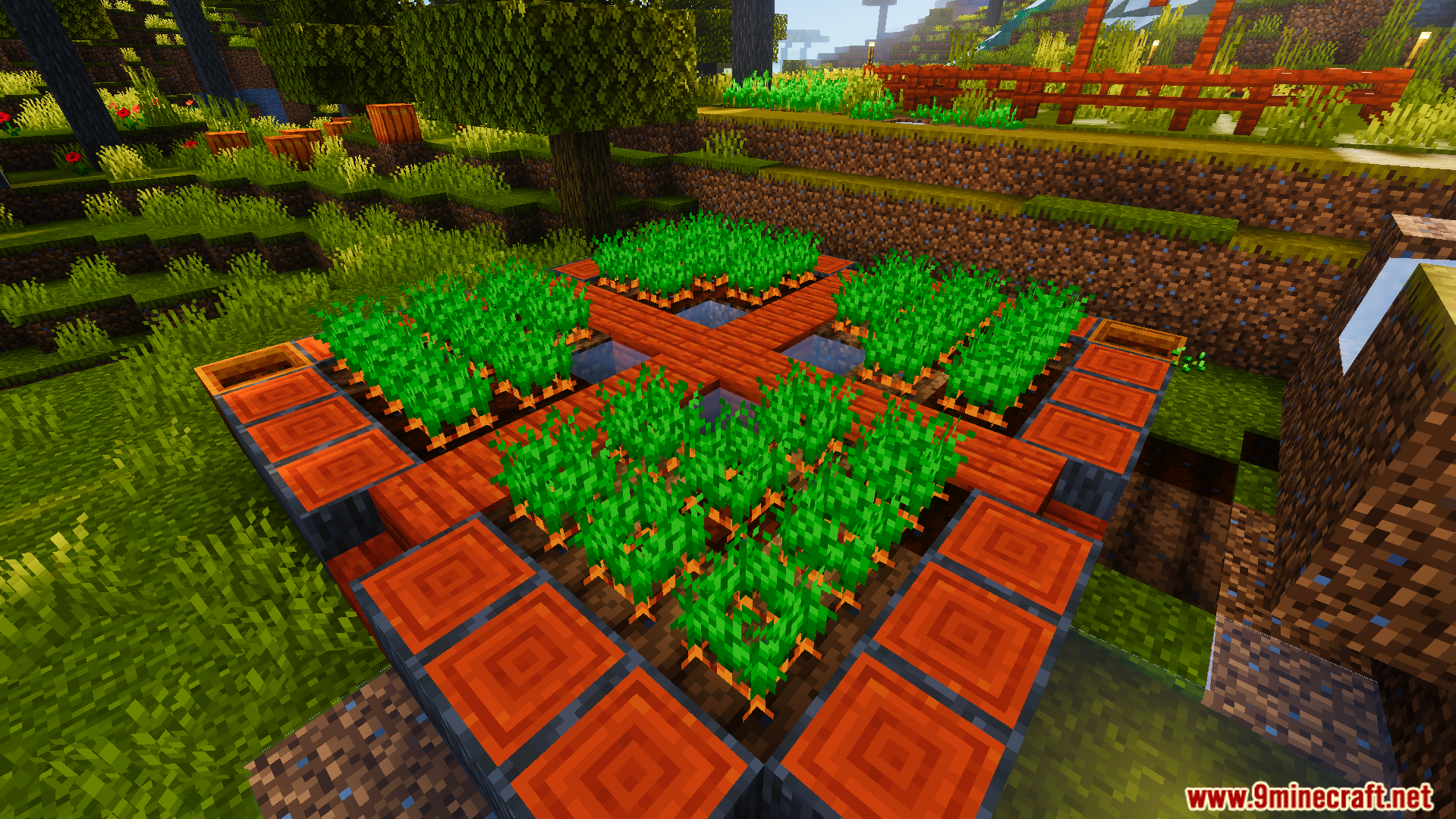 Fully grown carrots in a farm showing the shiny animation for harvest