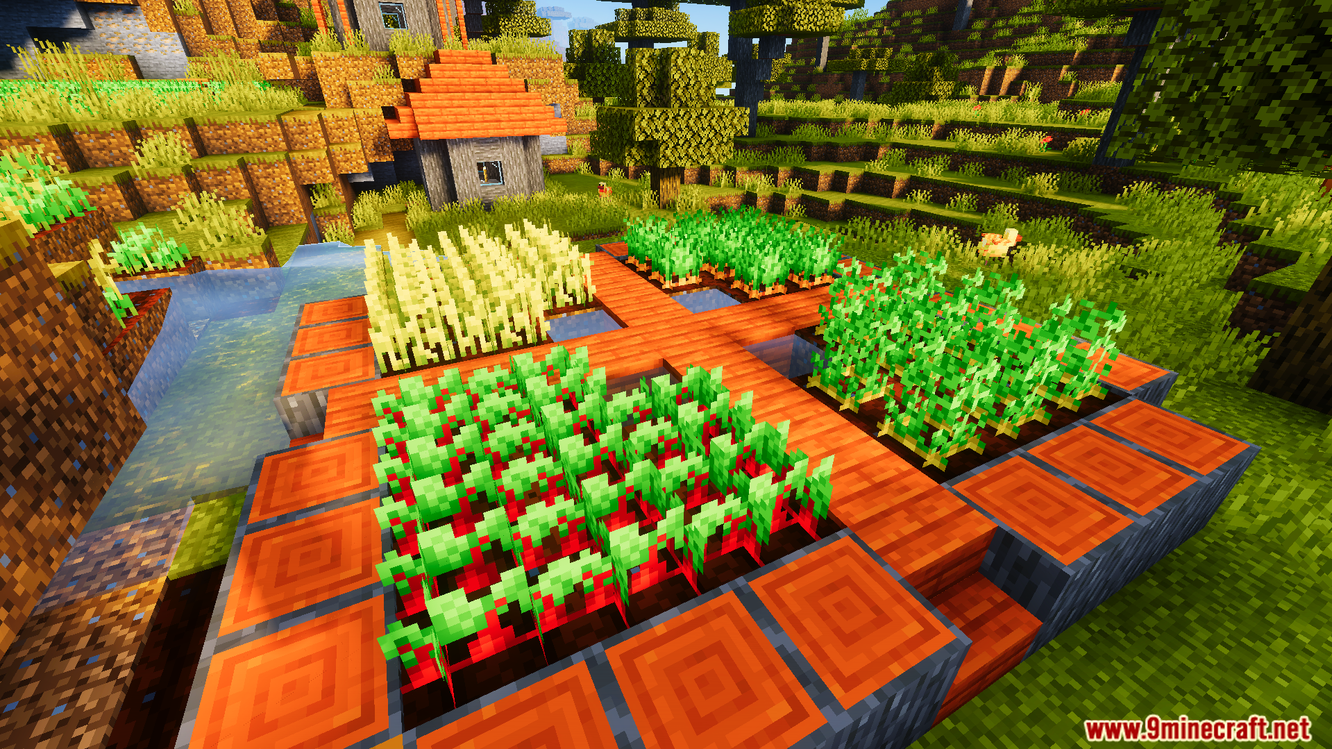 Ready Crops Plus Texture Pack adds a glowing animation to fully grown plants