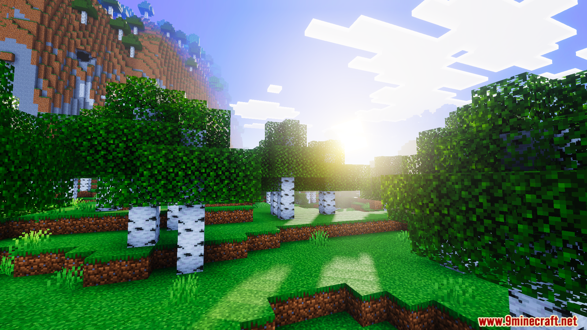 Realism Visuals Shader Screenshot 2 Vibrant birch forest biome with realistic lighting and soft shadows under bright sun