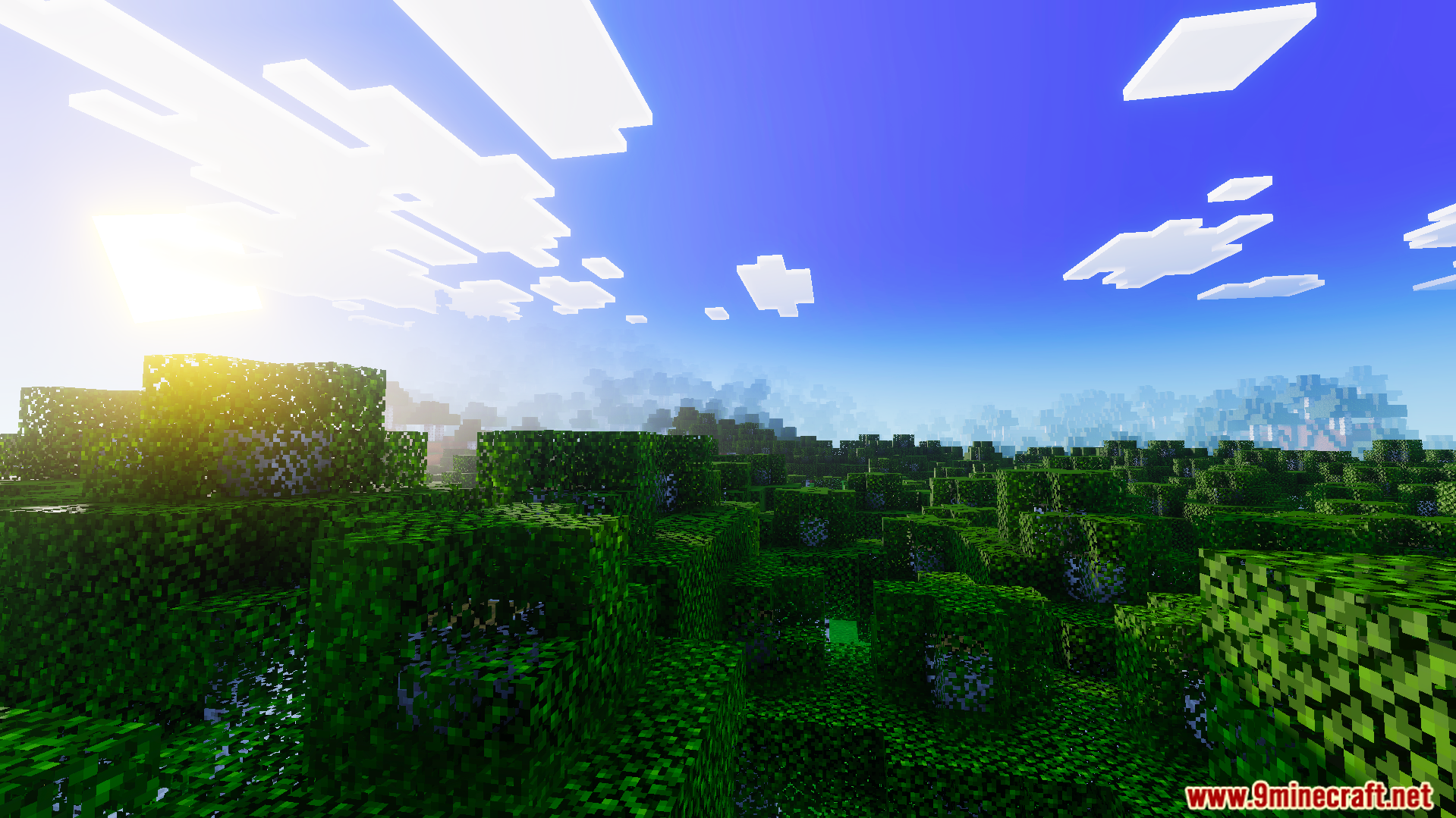 Realism Visuals Shader Screenshot 3 Bright sunlight shines over a dense green forest with realistic lighting